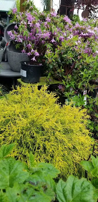 Green View Picture 4