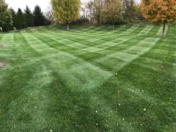DK Lawn Care & Curbing Picture 8