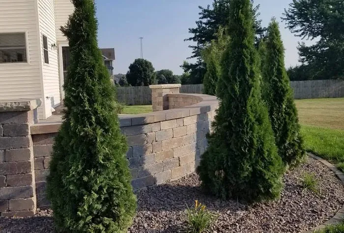 Chizmar Landscaping Picture 6