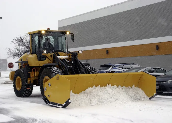 Reinhart Landscaping & Snow Picture 3
