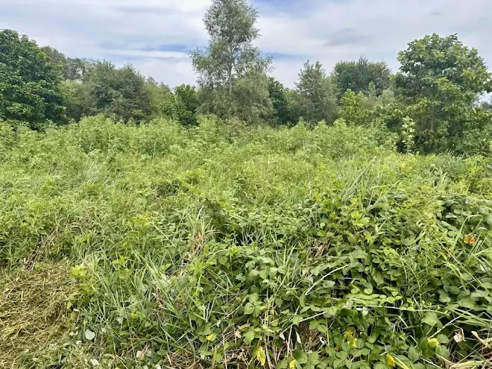 Iron Hoof Land Management Picture 10
