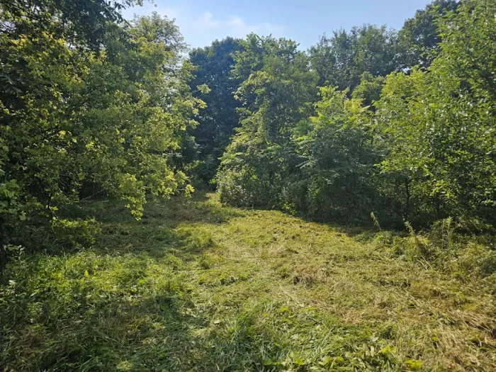 Iron Hoof Land Management Picture 9