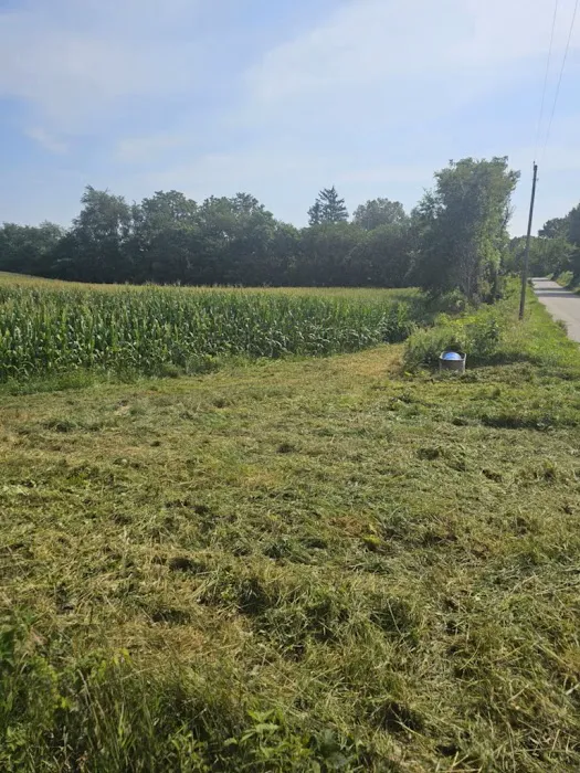 Iron Hoof Land Management Picture 6