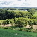 Iron Hoof Land Management