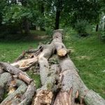 J&G Lawn &Tree Services