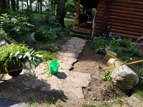 J&G Lawn &Tree Services Picture 6