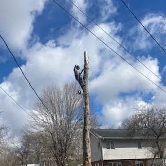 J&G Lawn &Tree Services Picture 7