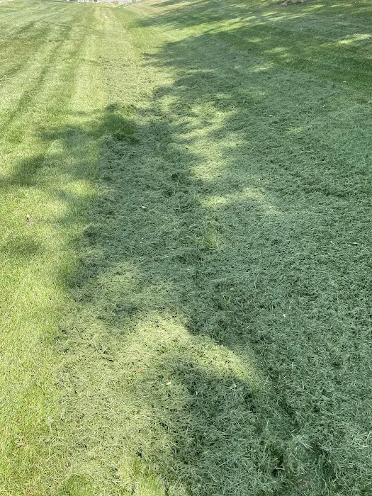 Shane's Lawn Care Picture 1