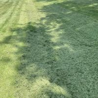 Shane's Lawn Care ico
