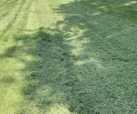 Shane's Lawn Care