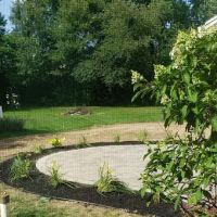 Dave Murphy Landscape Inc ico
