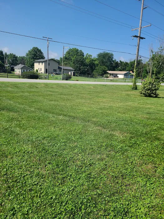 Warren's Lawn Service LLC Picture 7