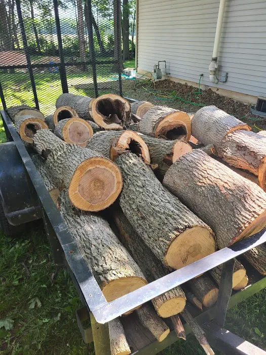 Warren's Lawn Service LLC Picture 8