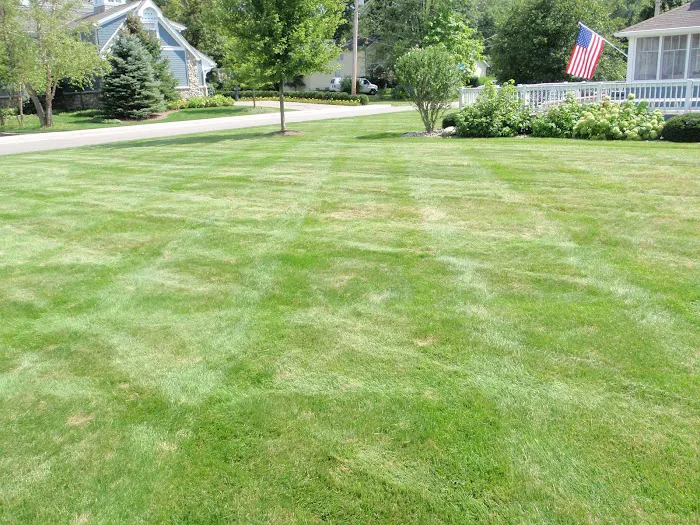 Sellers Services Inc Picture 7