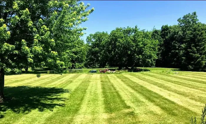 Kleinprinz Lawn Care Picture 4