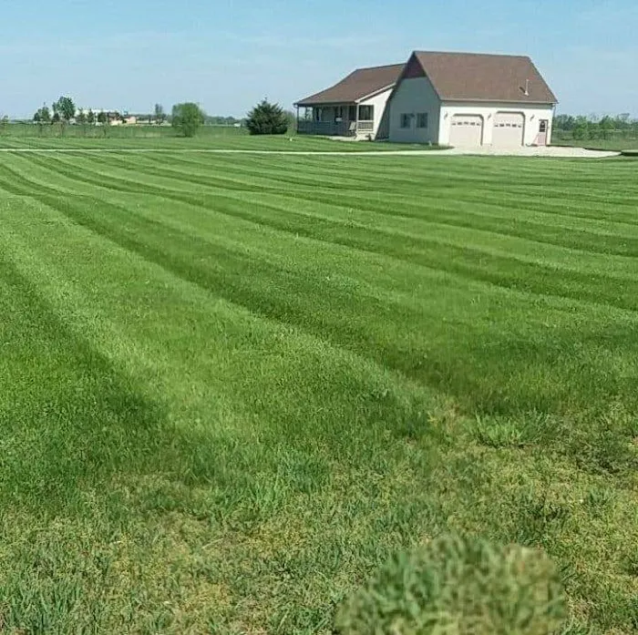 Kleinprinz Lawn Care Picture 3