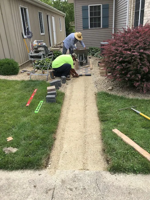 hernandez landscaping Picture 5