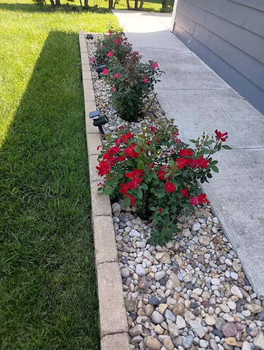 Aguilera Lawn Care Services Picture 8