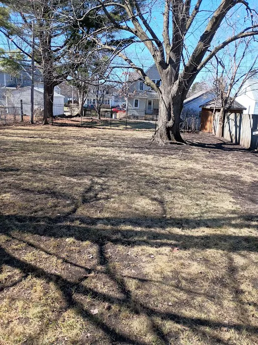 Aguilera Lawn Care Services Picture 5