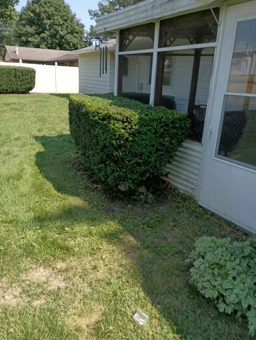 Aguilera Lawn Care Services Picture 10