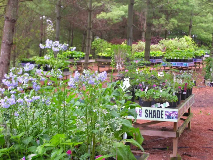 Hidden Timber Gardens Picture 7