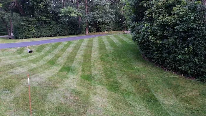 Magnuson Landscaping Picture 4