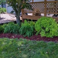 Magnuson Landscaping ico