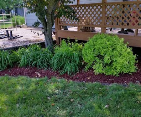Magnuson Landscaping