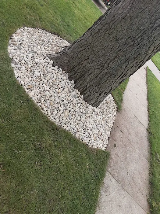JCM landscaping LLC Picture 3