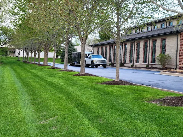 Concept Landscaping & Lawn Care + Snow & Ice Removal LLC Picture 2