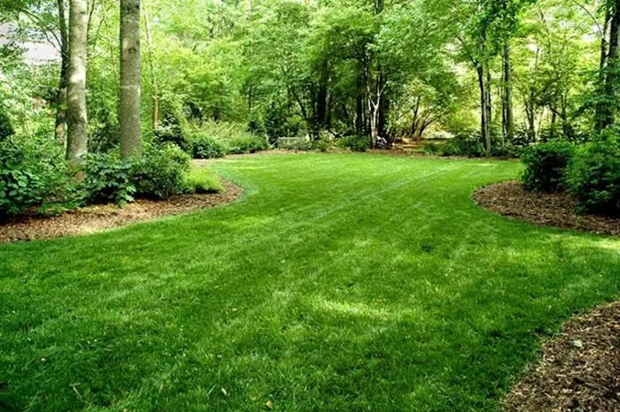 Concept Landscaping & Lawn Care + Snow & Ice Removal LLC Picture 1