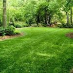 Concept Landscaping & Lawn Care + Snow & Ice Removal LLC