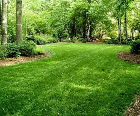 Concept Landscaping & Lawn Care + Snow & Ice Removal LLC