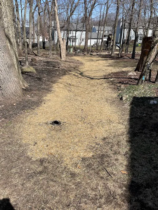 Fulton Landscaping Picture 10