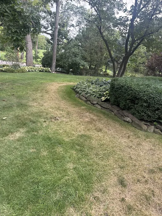 Naturescape Lawn and Landscape Care Picture 4