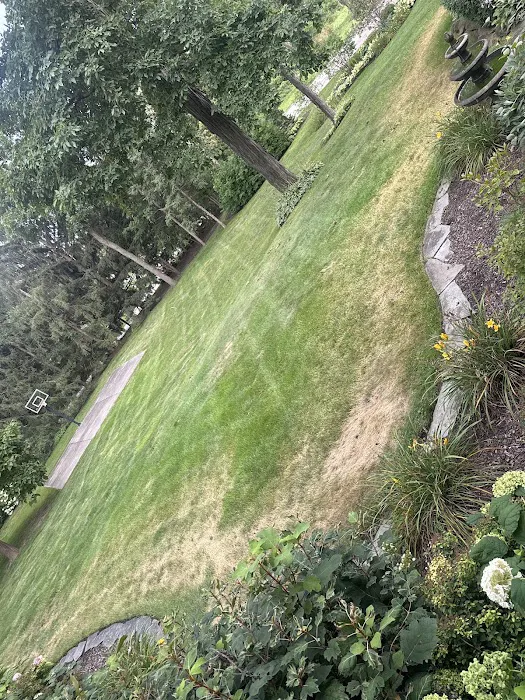Naturescape Lawn and Landscape Care Picture 6