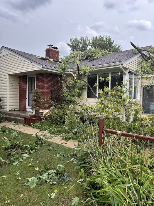 ASAP Tree Pros, Inc. Picture 6