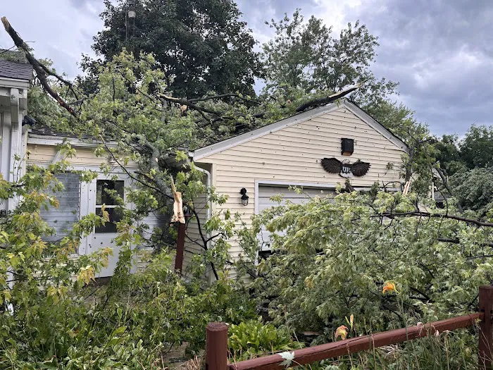 ASAP Tree Pros, Inc. Picture 10