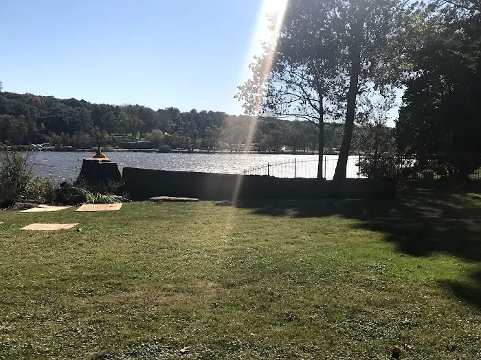 ASAP Tree Pros, Inc. Picture 5