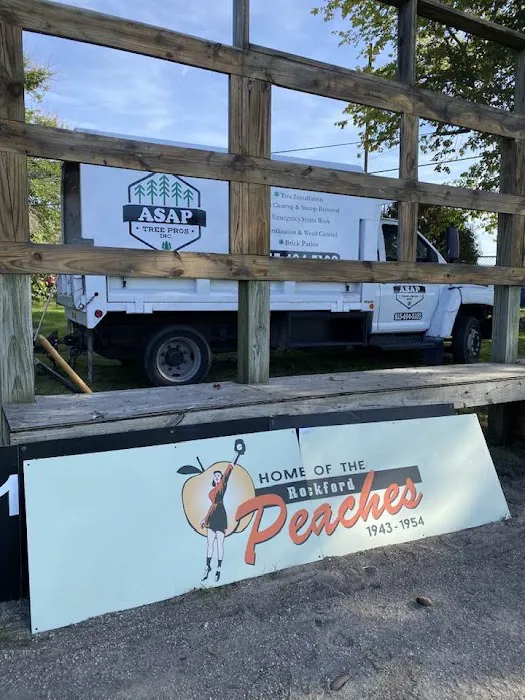 ASAP Tree Pros, Inc. Picture 2