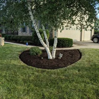 JJD Landscaping Inc Picture 8