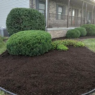 JJD Landscaping Inc Picture 4