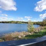 Mendoza Landscaping & Irrigation