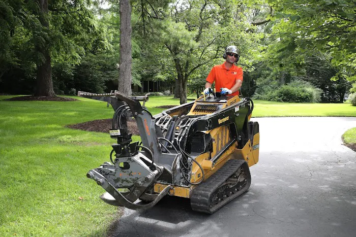 Tree Care Enterprises Inc. Picture 1