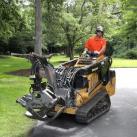 Tree Care Enterprises Inc. ico