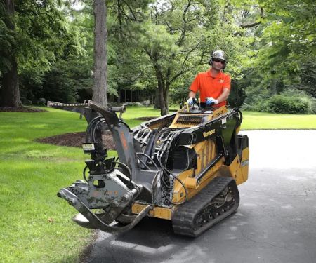 Tree Care Enterprises Inc.