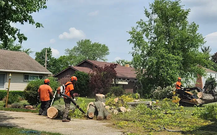 Tree Care Enterprises Inc. Picture 4
