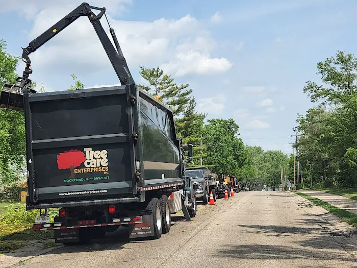 Tree Care Enterprises Inc. Picture 5