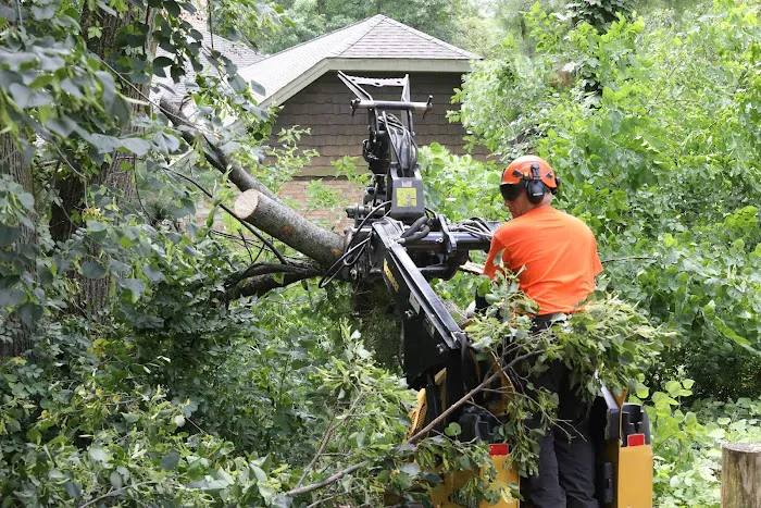 Tree Care Enterprises Inc. Picture 8