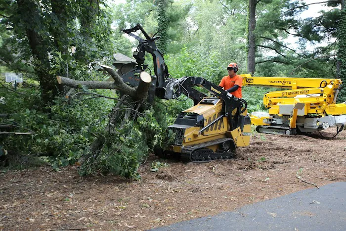 Tree Care Enterprises Inc. Picture 9